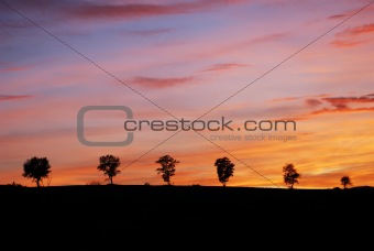 Beautiful cloudy and colored evening sky behind a line of trees