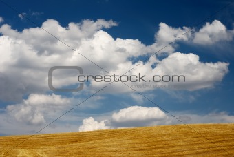 Straw and sky