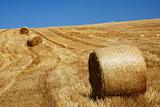 Straw bales in a line