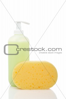 Soap dispenser and sponge