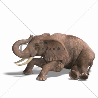 huge elephant