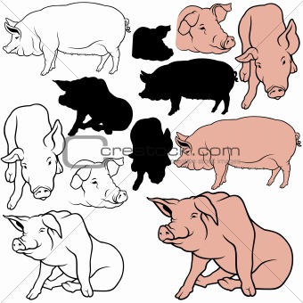 Pig Set