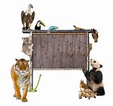 Group of wild animals around a blank wooden sign