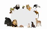 Group of wild animals around a blank poster