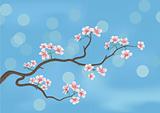 flowered sakura