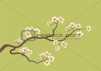 flowered sakura