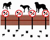Dogs behind a fence to protect against ticks and fleas