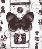 butterfly oriental background