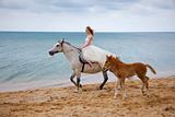	Bride and horses on the beach