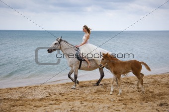 	Bride and horses on the beach