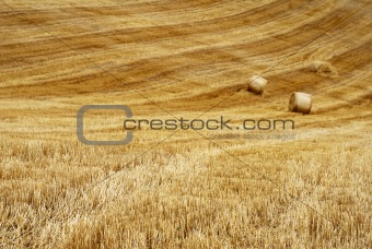 Straw field lines
