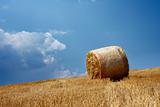 Solitary straw bale
