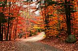 Autumn landscape with a path