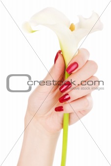 Beautiful nails and fingers