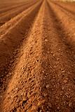 Ploughed red clay soil agriculture fields 