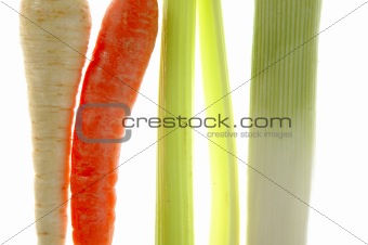  vegetables in a row, turnip, carrot, leek, thistle