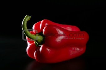 Red macro pepper over black  background