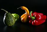 Colorful vegetables still over black