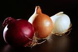 Three colorful different onion