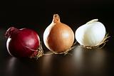 Three colorful different onion
