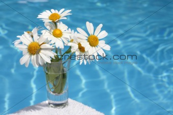 Daisies by Blue Water