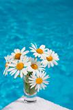 Daisies by Blue Water