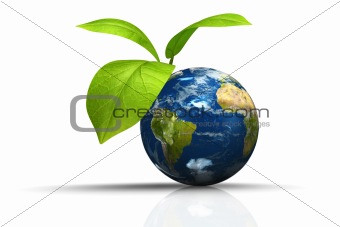 Planet earth with leaf