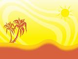 palm tree on sunny summer background