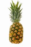 Pineapple on white backround