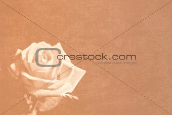 Sepia rose stationery