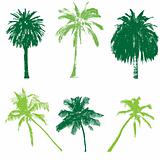 palm collection for your design