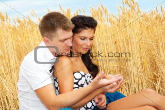 Couple looking at a wheat ear