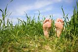 Bare feet in a grass