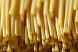 spaghetti macro image