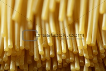 spaghetti macro image