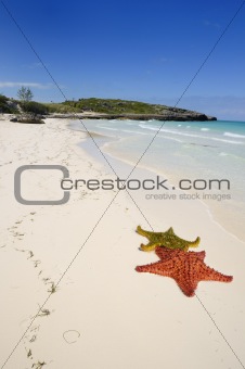 tropical cuban beach
