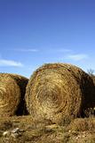 Yellow straw round bale outdoor, blue sky