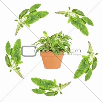 Sage Herb Leaf Garland