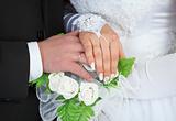 Male and female hands with wedding rings