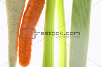 Celery, leek, carrot, transparent over white