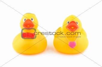 Rubber duck couple
