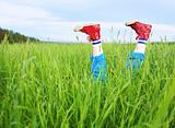 Amusing feet cheerfully sticking out of a grass