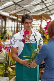 woman buying orchids