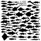 Detailed Vectoral Fish Silhouettes