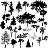 Detailed Vectoral Tree Silhouettes
