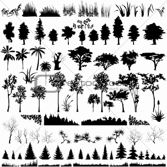 Detailed Vectoral Tree, Leaf, Branch and Grass Silhouettes