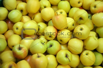 Golden apples