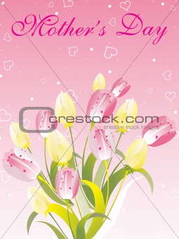 Tulips isolated on pink background