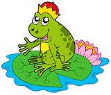 Frog prince on water lily