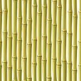 Abstract bamboo background.